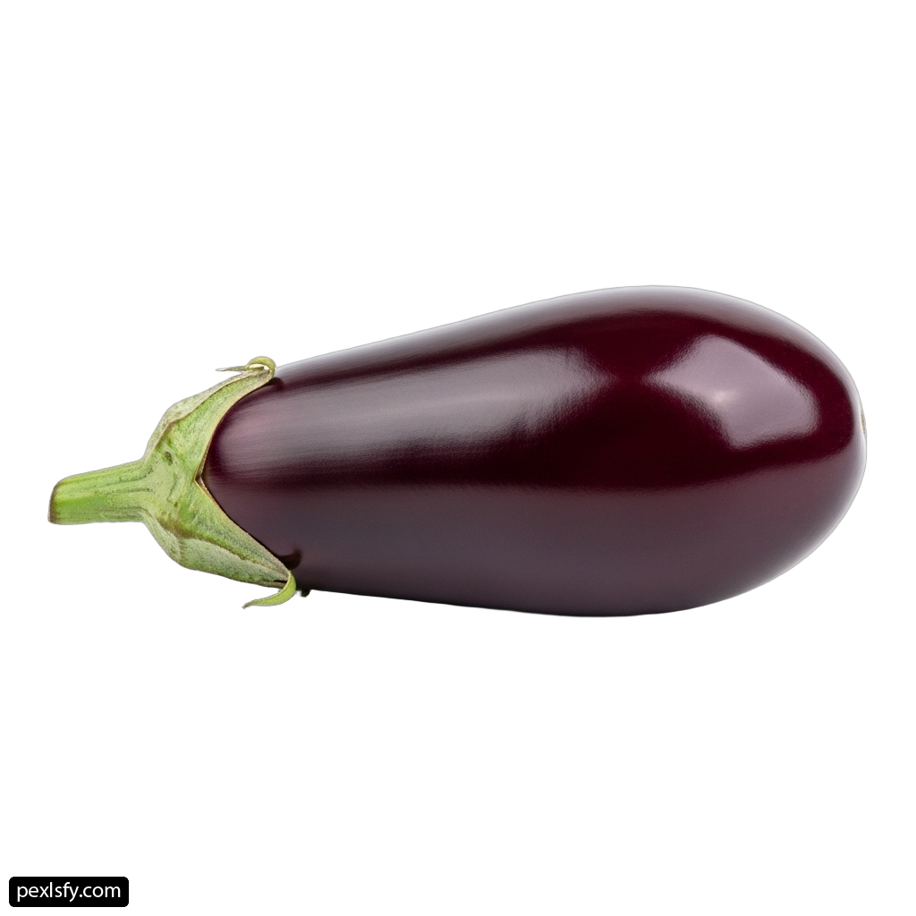 Single eggplant on a white background png transparent background