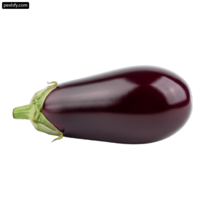 Single eggplant on a white background png transparent background