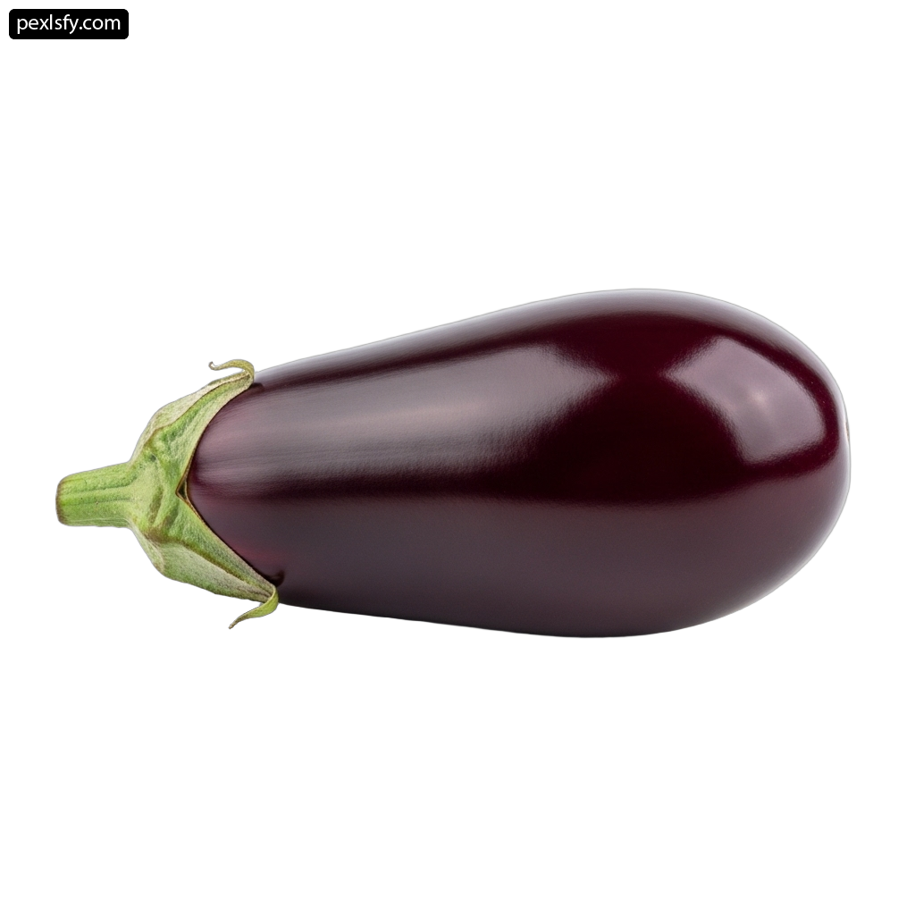 Single eggplant on a white background png transparent background