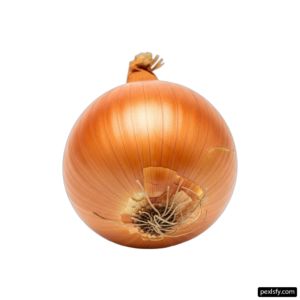Single onion on a white background png transparent background