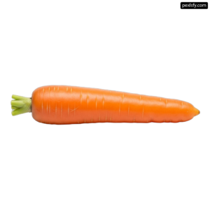 Single orange carrot on a white background png transparent background