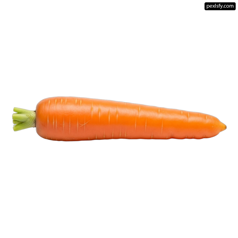 Single orange carrot on a white background png transparent background