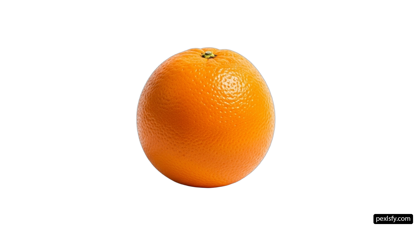 Single orange on a white background png transparent background