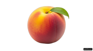 Single peach with a leaf on top of it png transparent background