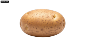 Single potato on a white background png transparent background