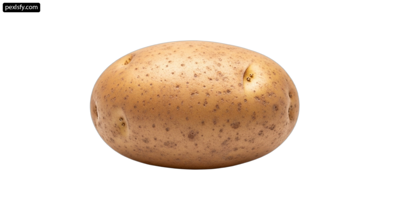 Single potato on a white background png transparent background