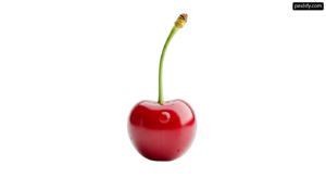 Single red cherry on a white background png transparent background