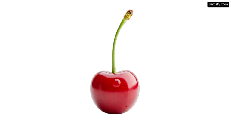 Single red cherry on a white background png transparent background
