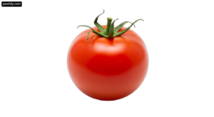 Single red tomato on a white background png transparent background