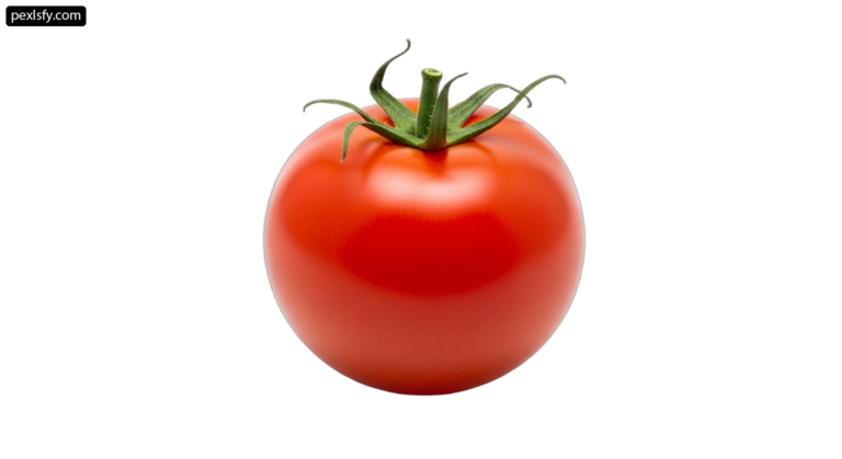 Single red tomato on a white background png transparent background