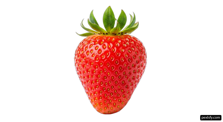 Single strawberry on a white background png transparent background