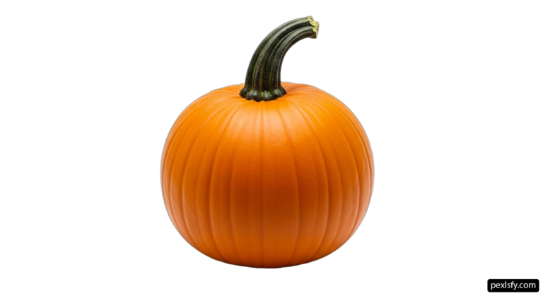 Small orange pumpkin on a white background png transparent background