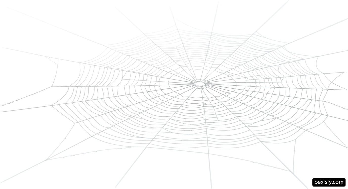 Spider web on a white background png transparent background